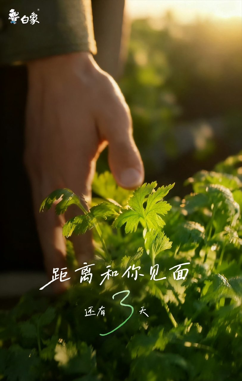 王一博白象新代言预热王一博终于实现了香菜自由！王一博终于实现了香菜自由 ​​​
