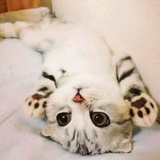 剑舞一真