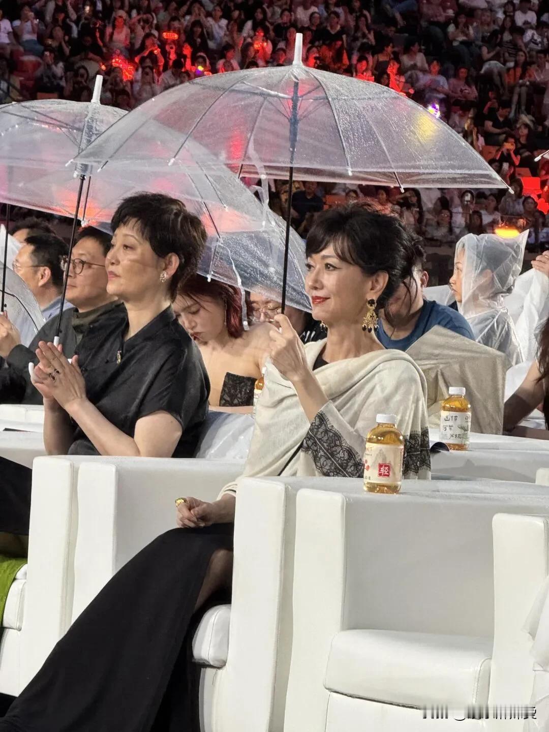 没有丑女人只有懒女人，71岁赵雅芝和57岁徐帆坐在一起，丝毫不黯然失色，还倒压对