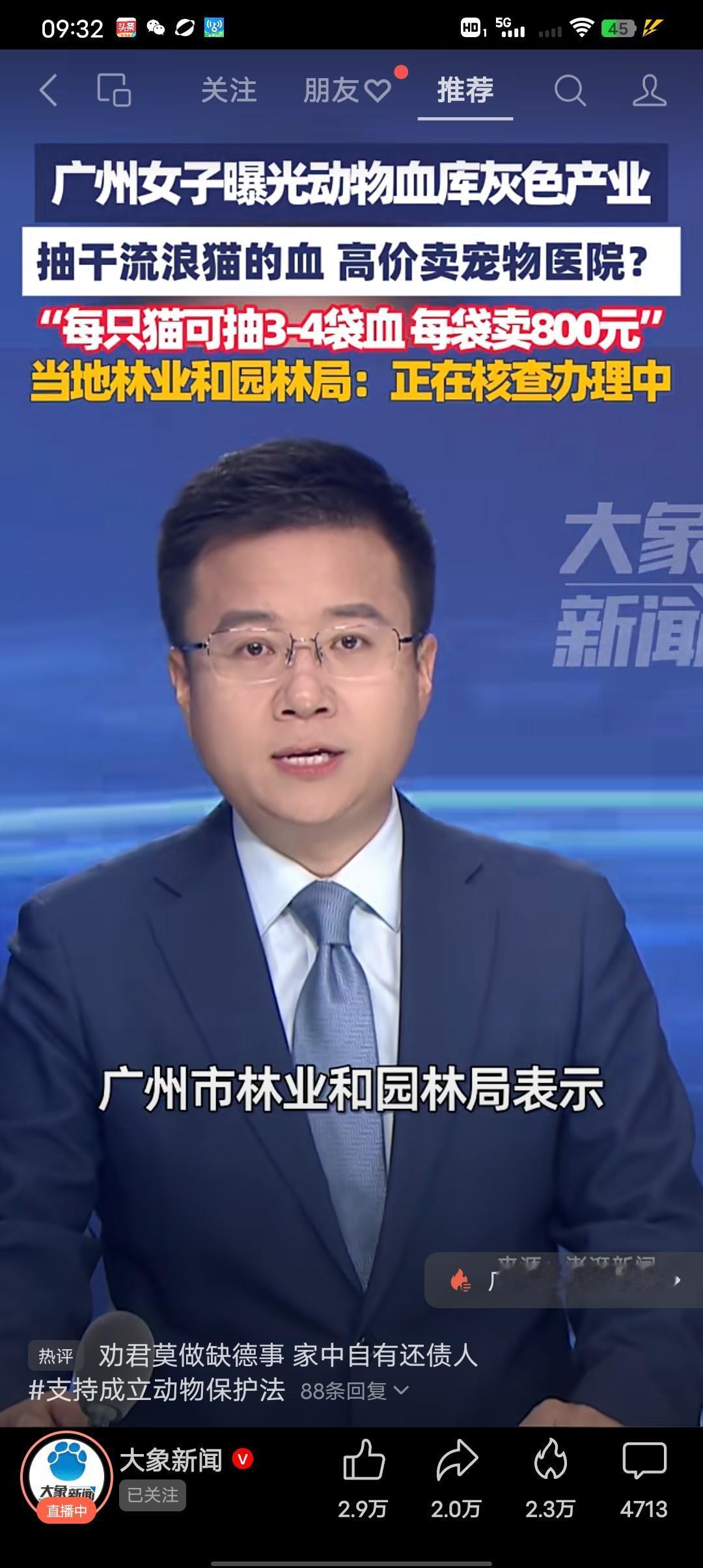 10月28号广州女子曝光动物血库灰色产业。
将流浪猫的血抽干，卖给宠物医院有偿提