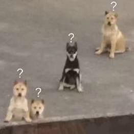 今日份的迷惑行为：本就随缘营业的🍑小店，收到了一个腰靠的退货然后同事打开一看—