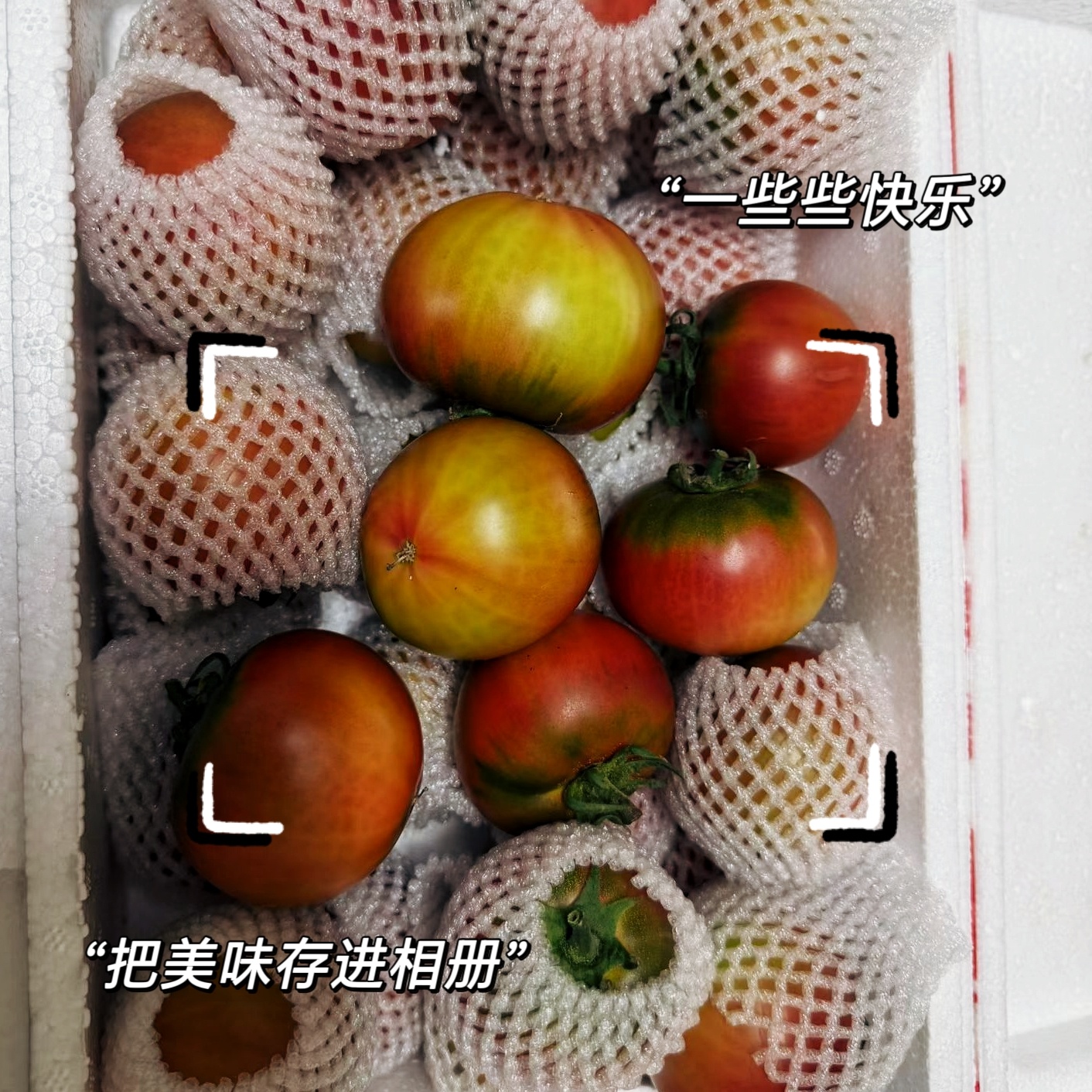 收到是我爱吃的真好日常分享西红柿原图我的日常plog