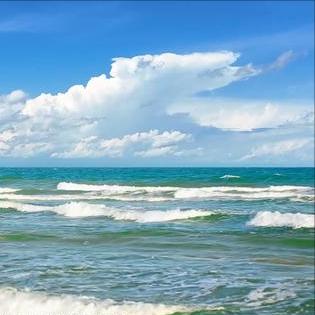 四中全会精神高屋建瓴、思想深邃、内涵丰富、催人奋进   《人民日报》从10月30