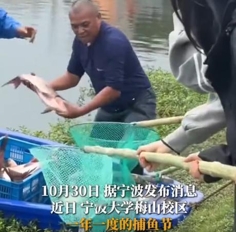 宁波大学学生在校园湖中捞起780斤鱼，食堂烹饪分给全校师生。
近日，宁波大学梅山