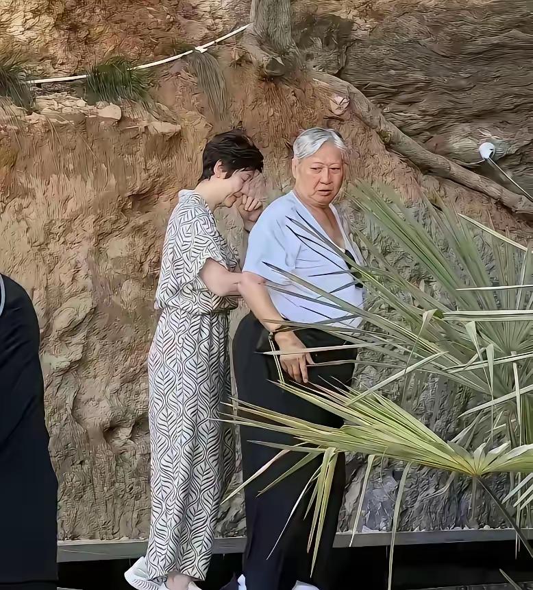 洪金宝与夫人同框照
他们两个人是师徒，也是夫妻，如今人家已经老了许多，要夫人搀扶