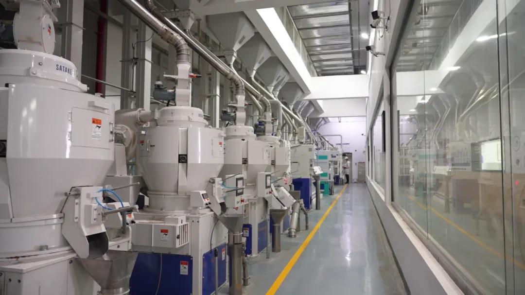 稻虾米企开工忙 奋力冲刺“开门红”