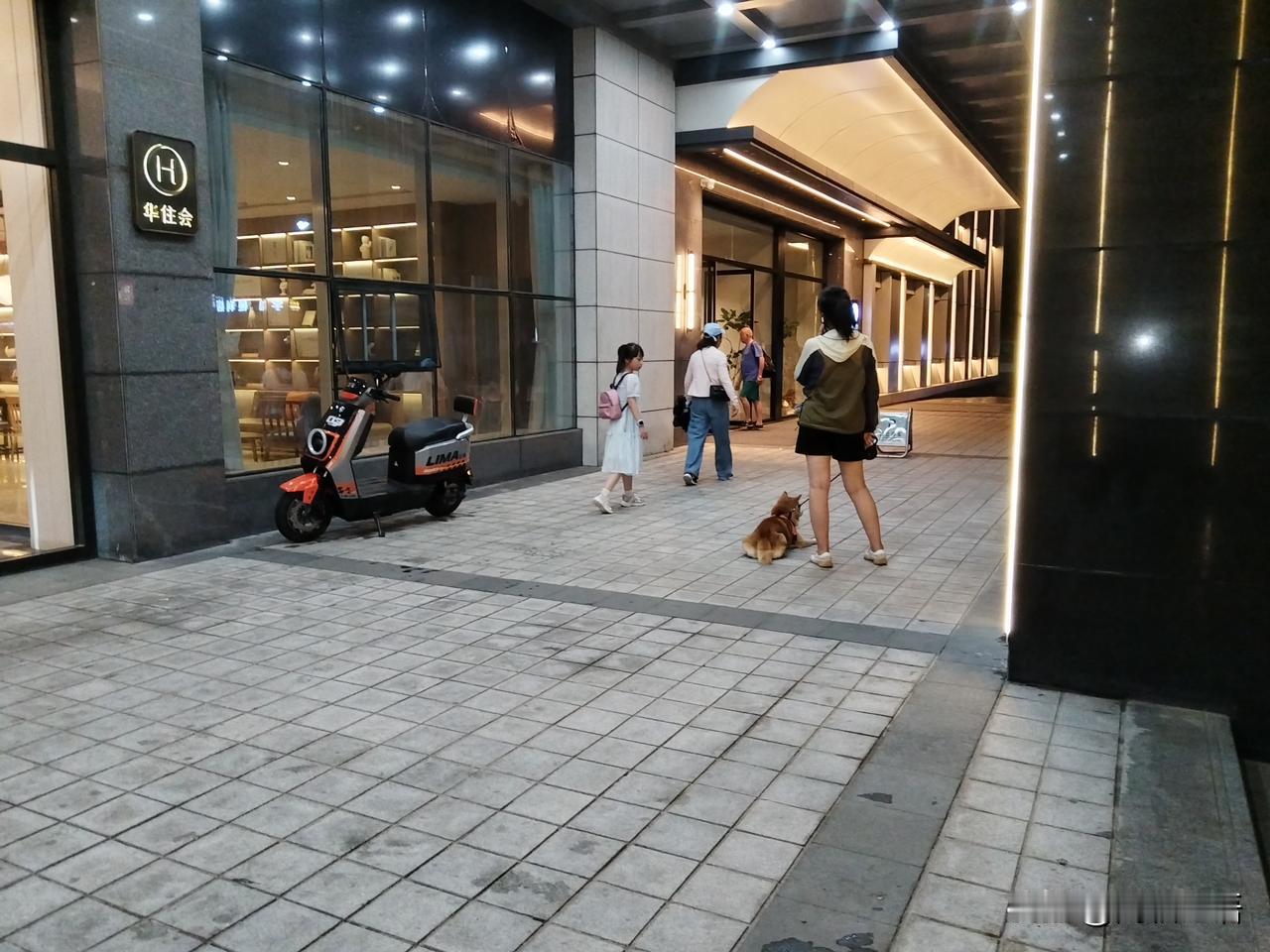 入住一全国连锁酒店。今天早晨，看见有两条泰迪狗陆续分别由女主牵引从客房出来，很是