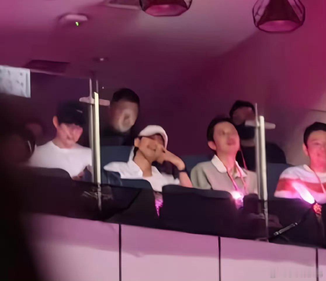 谢娜演唱会上的张杰谢娜圆梦，张杰护航！看到张杰在台下为谢娜加油打气，那个姨母笑，
