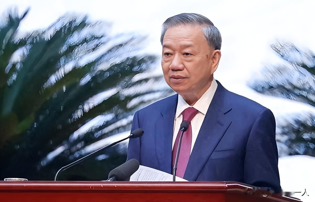 高市早苗此前跟苏林会谈，开口就夸越南奉行“战略自主”，可她最想要的，恰恰是越南别