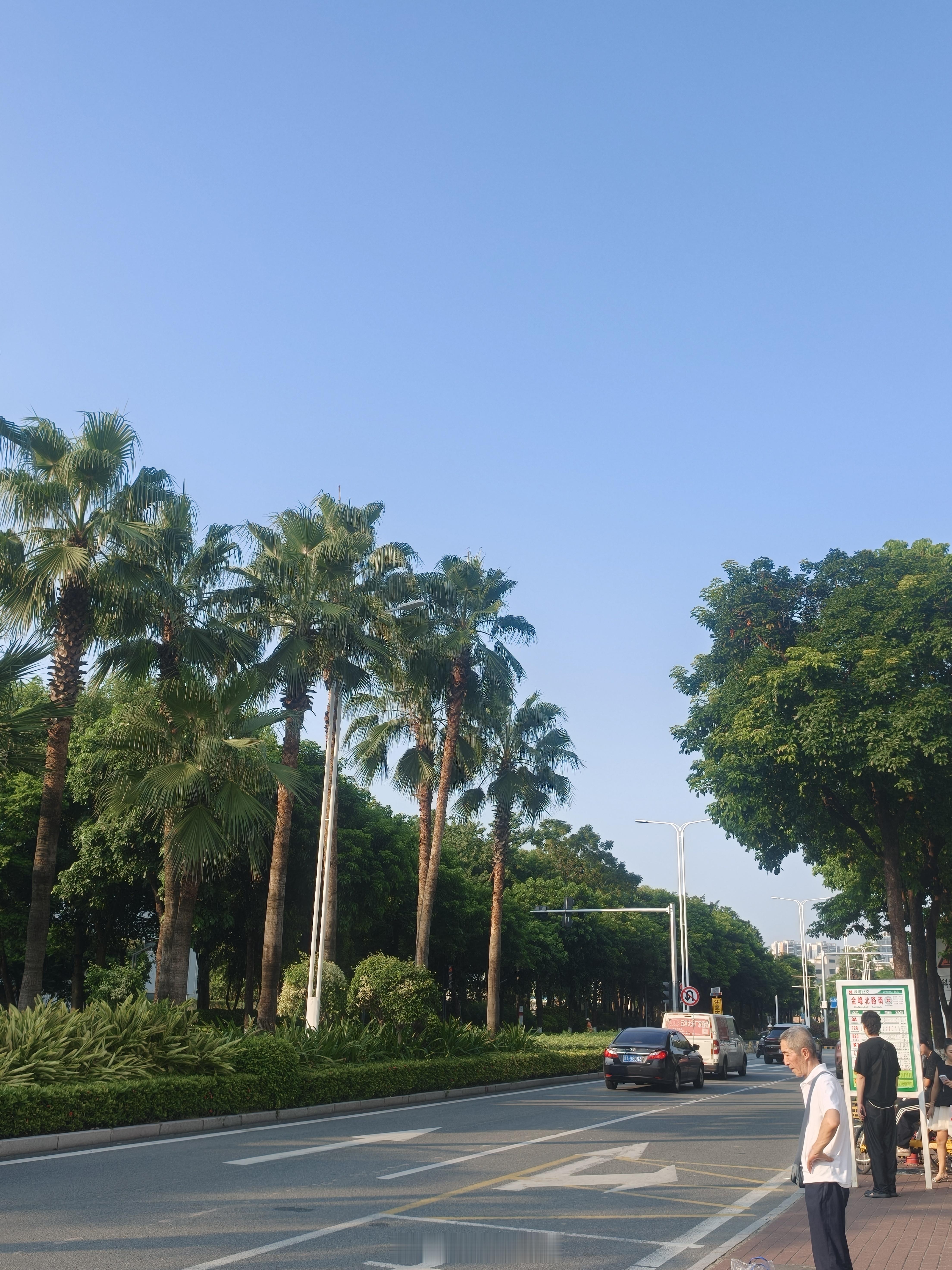 出门探店满载而归的战利品，转头偶遇拾荒者，看天气这么热他也挺不容易的，干脆全部送