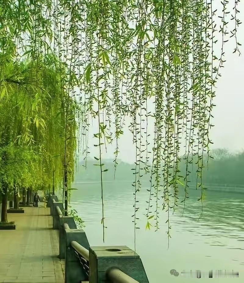 自谴
解甲无羁纵全身，
心悦诚服山水音。
翠鸟啾啾风含笑，
绿草茵茵树奏琴。
云