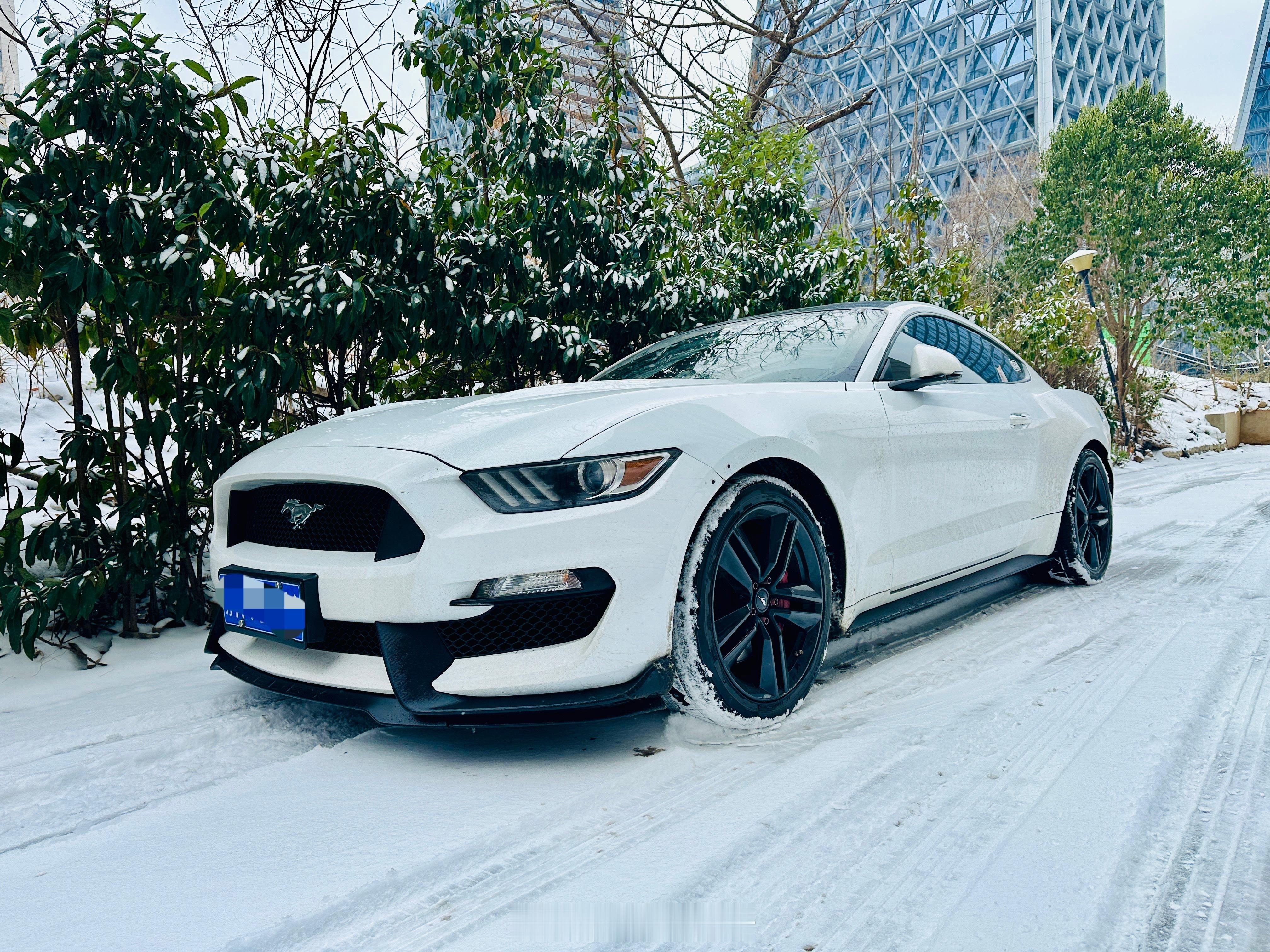 听说下雪天和白车更配哦我与汽车的日常汽车福特野马