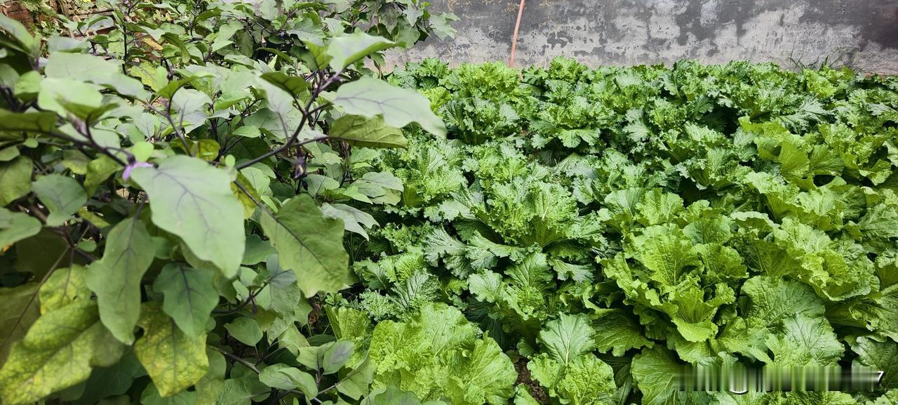 婚姻能不能长久，关键看磨合。夫妻吵架很正常的。有矛盾、有问题，这是常态。

关键