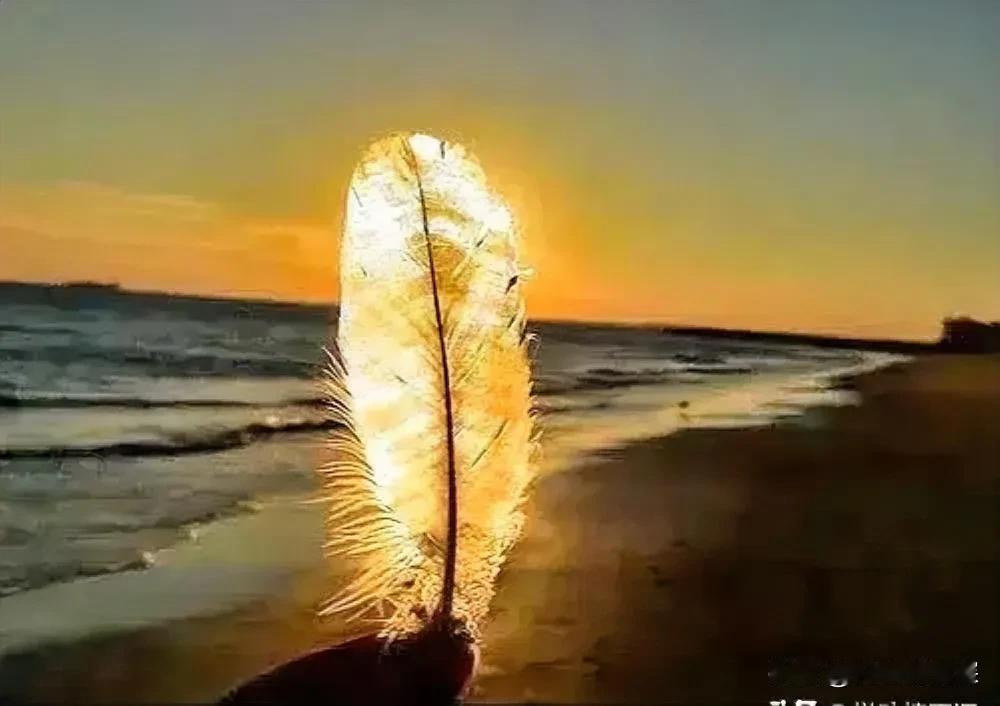我和老公结婚已经两年了。我自己开了一家画画培训班，而他则是一位自主创业者，开了一