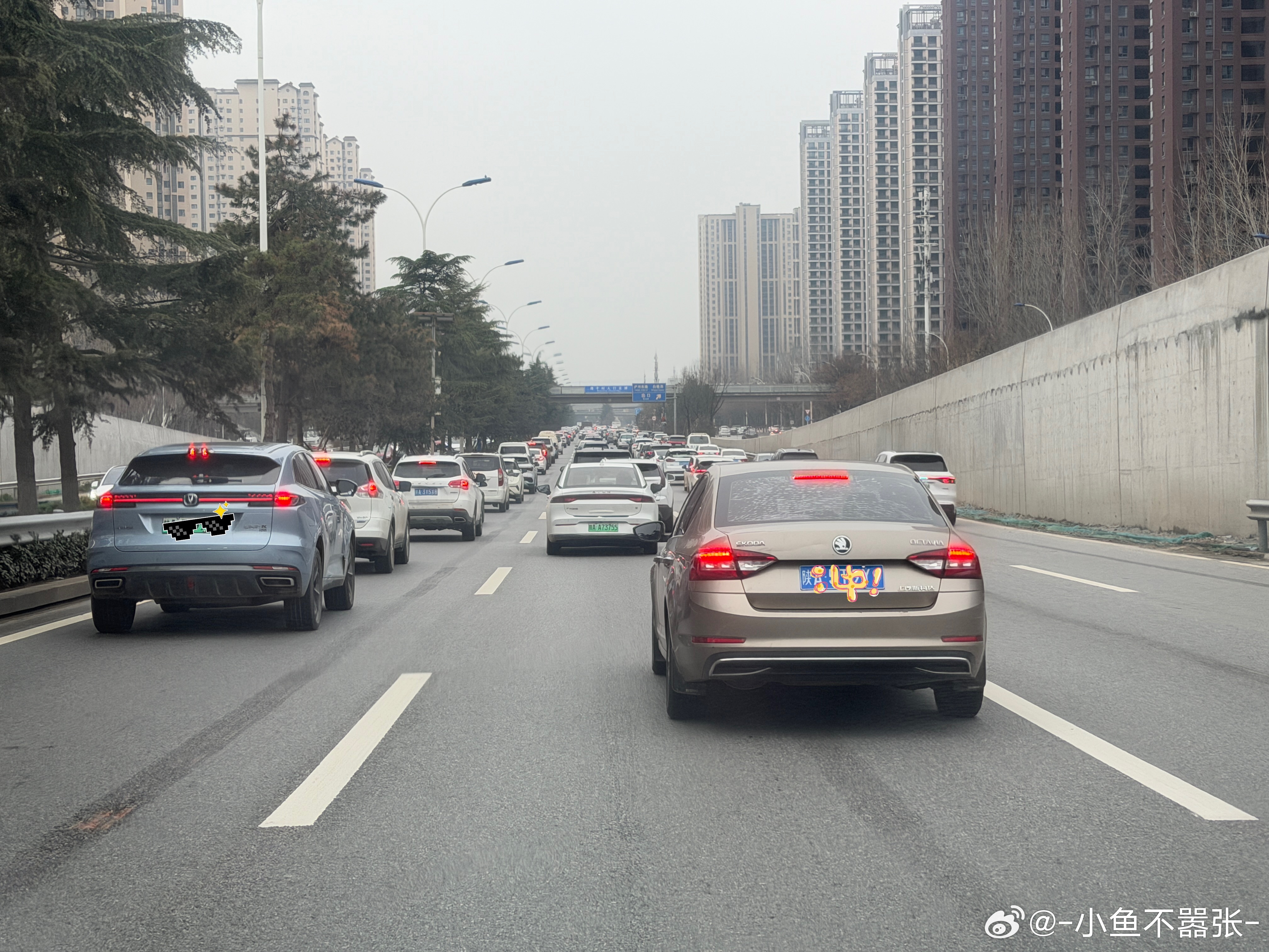 艹一眼望不到头不想说话