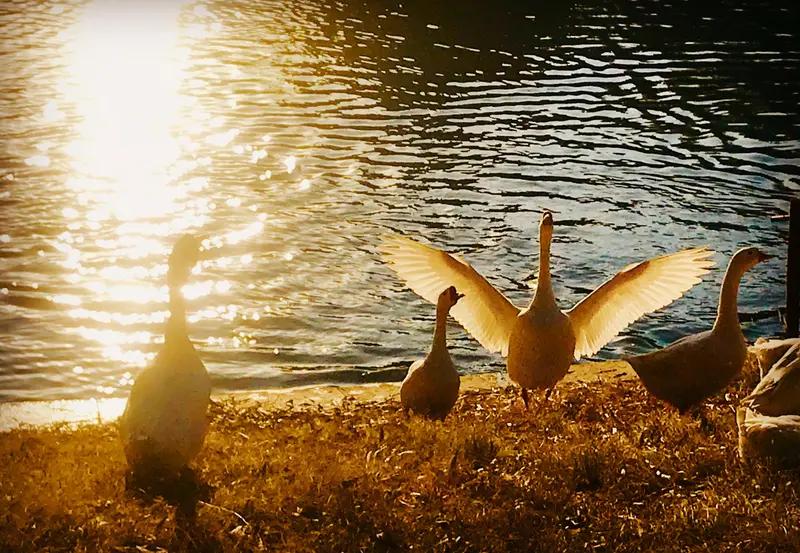 培养孩子自信和自尊，得从这几方面入手。首先，给孩子“够得着的成功”。把任务拆小，