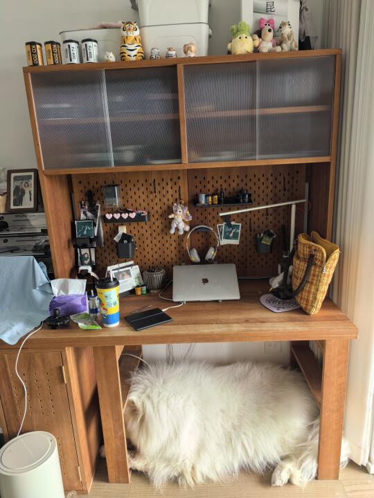 耶耶地毯你有吗？