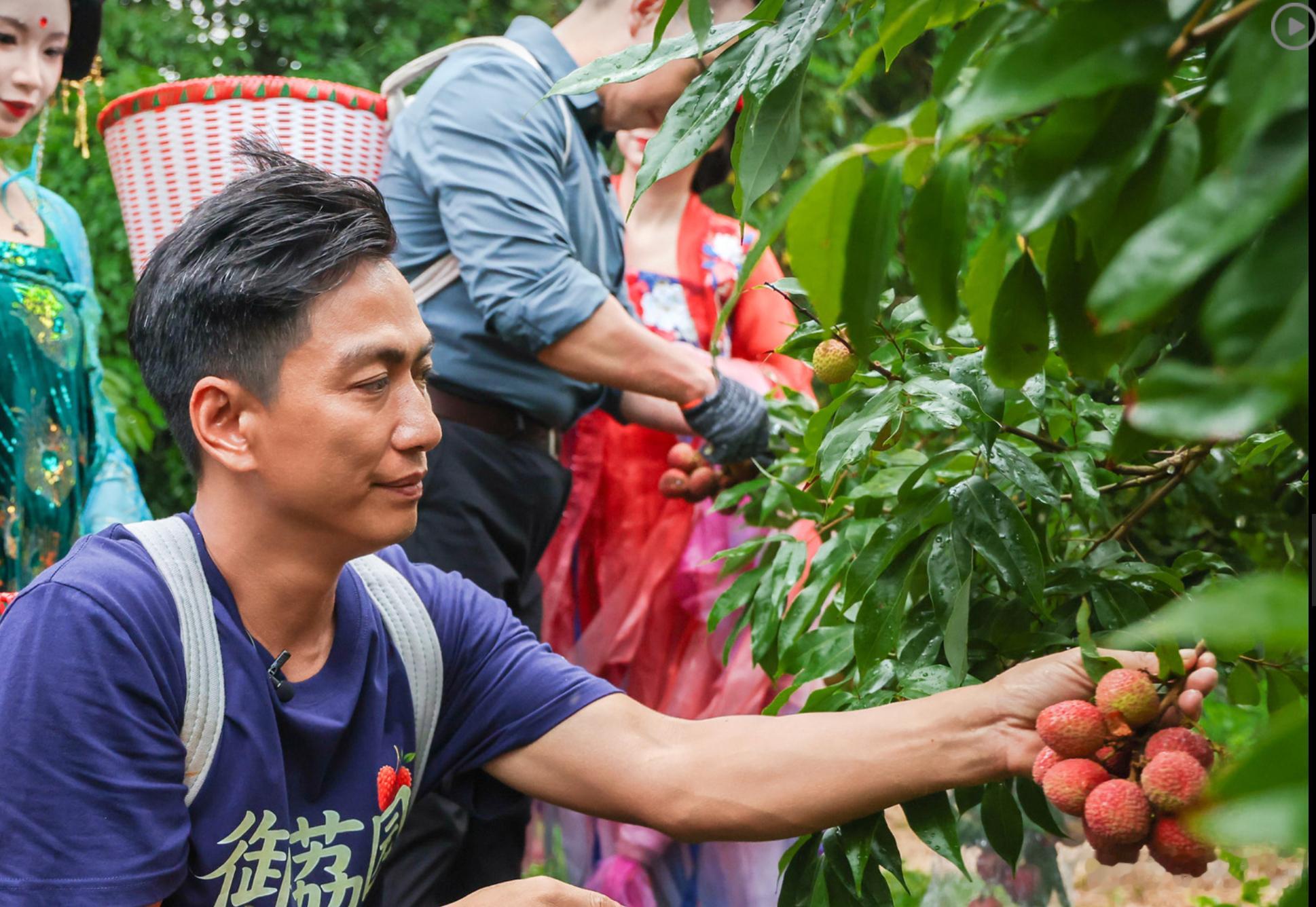 珠海荔枝鲜到西安 今年荔枝收成有限，每一颗都来之不易，用心护送千里远行，足以见得