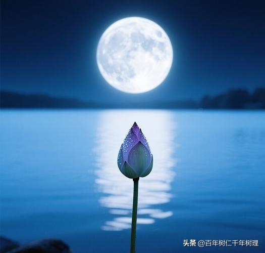 出句：千仞峰前云做客
对句：万顷塘里月宴宾