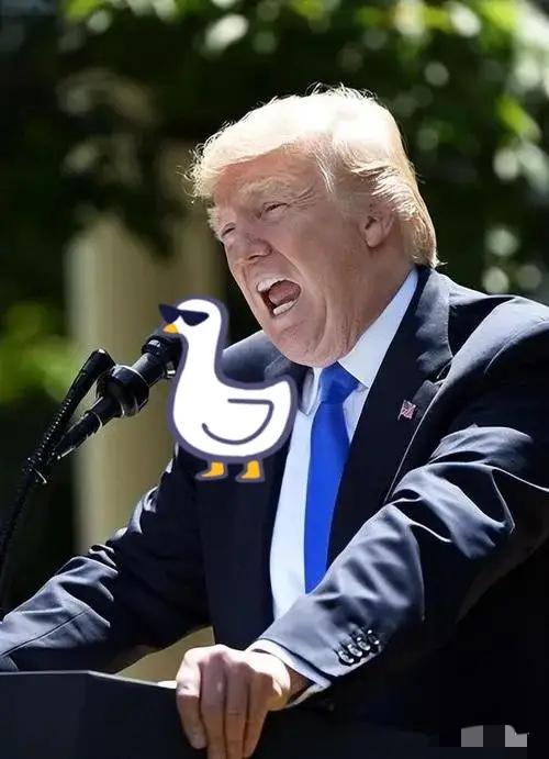 中日关系崩了，所有人都以为日本是在替美国冲锋、替台湾站台！一位美国专家直接把底裤