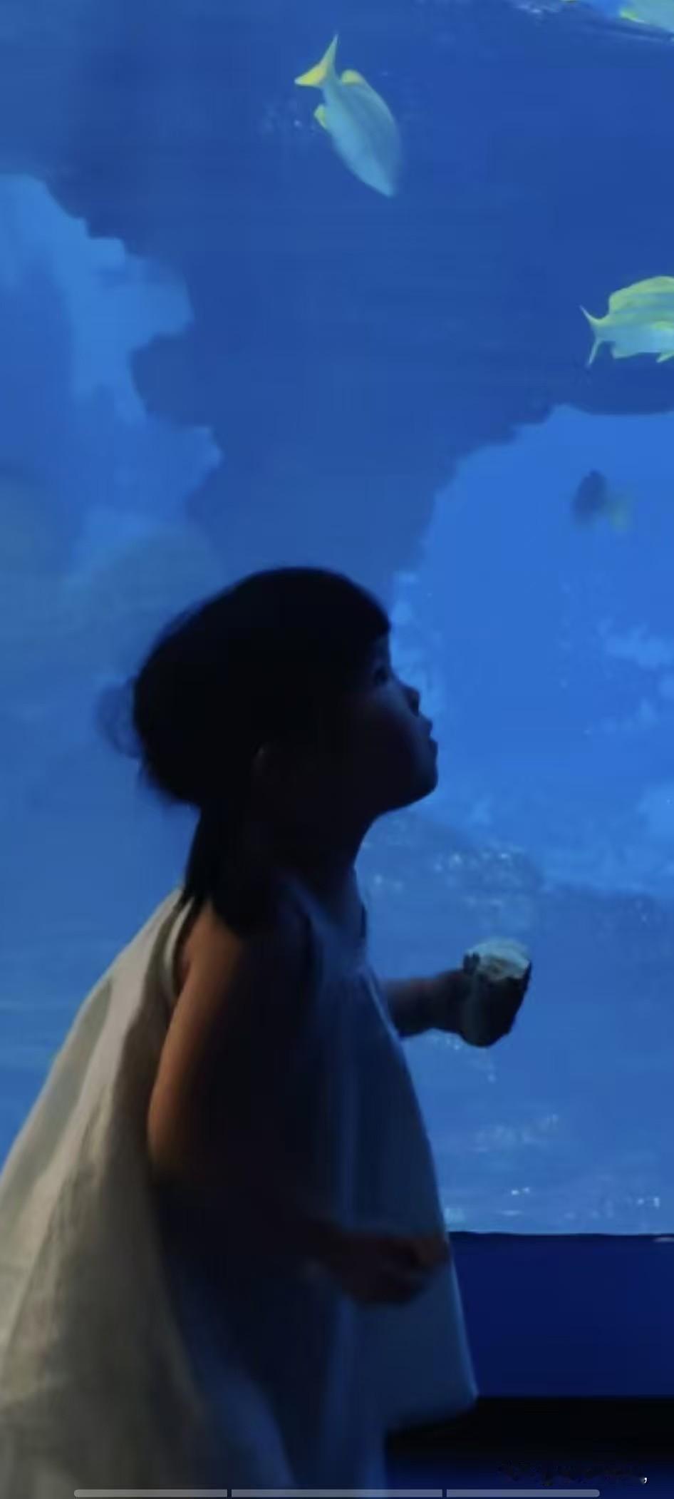 李小铁郑州海洋馆一日游
今天，妈妈带着李小铁来到郑州海昌海洋馆游玩，我家的宝宝一