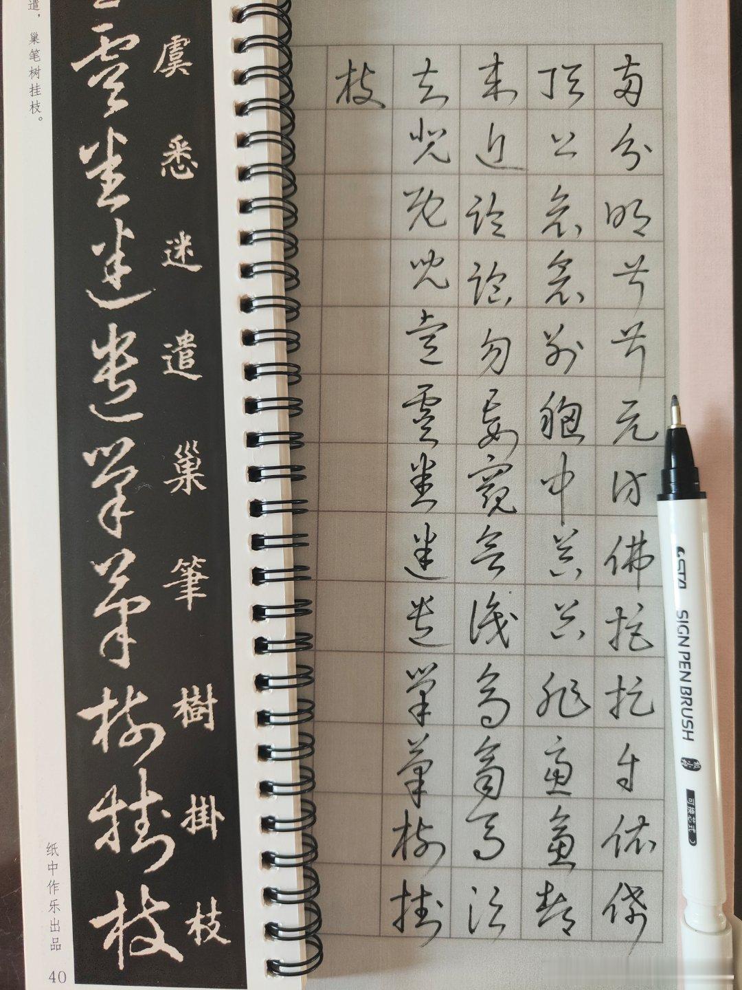花了差不多两年的业余时间把标准草书学会了七七八八，回过头来再看王羲之《草诀歌》，