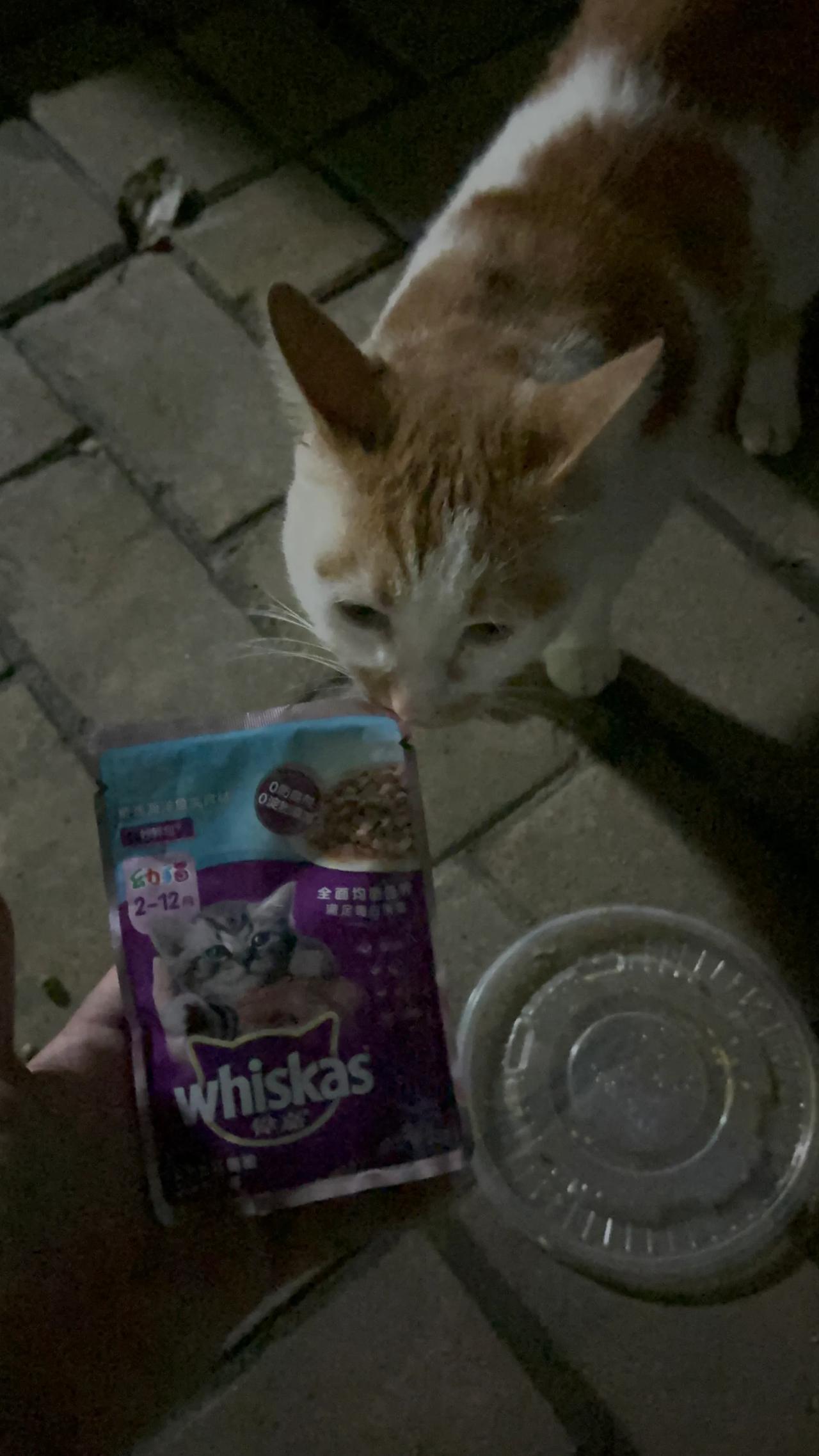 给楼下的小朋友改善一下伙食～