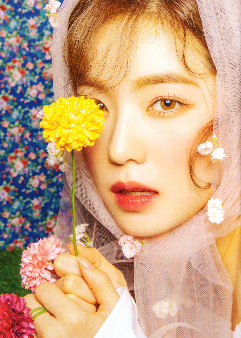 Irene| 日专 Sappy 专辑扫图🌸扫图©️sgsgom, Kikuze