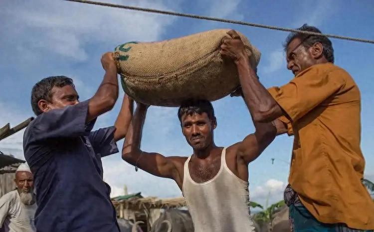 印度终是破解了化肥短缺难题！三哥脑子就是好使，不仅接受了东西海岸的高价尿素，而且