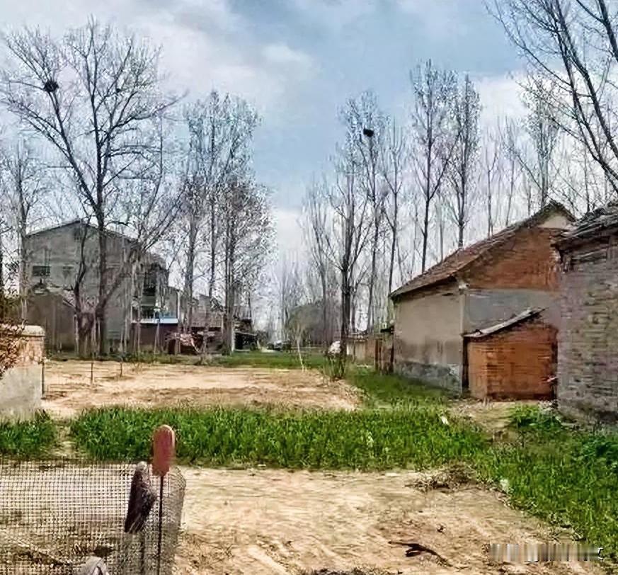 发现没？农村里爱争占地、抢地边的人，大多日子都过不舒心
 





不知道老乡