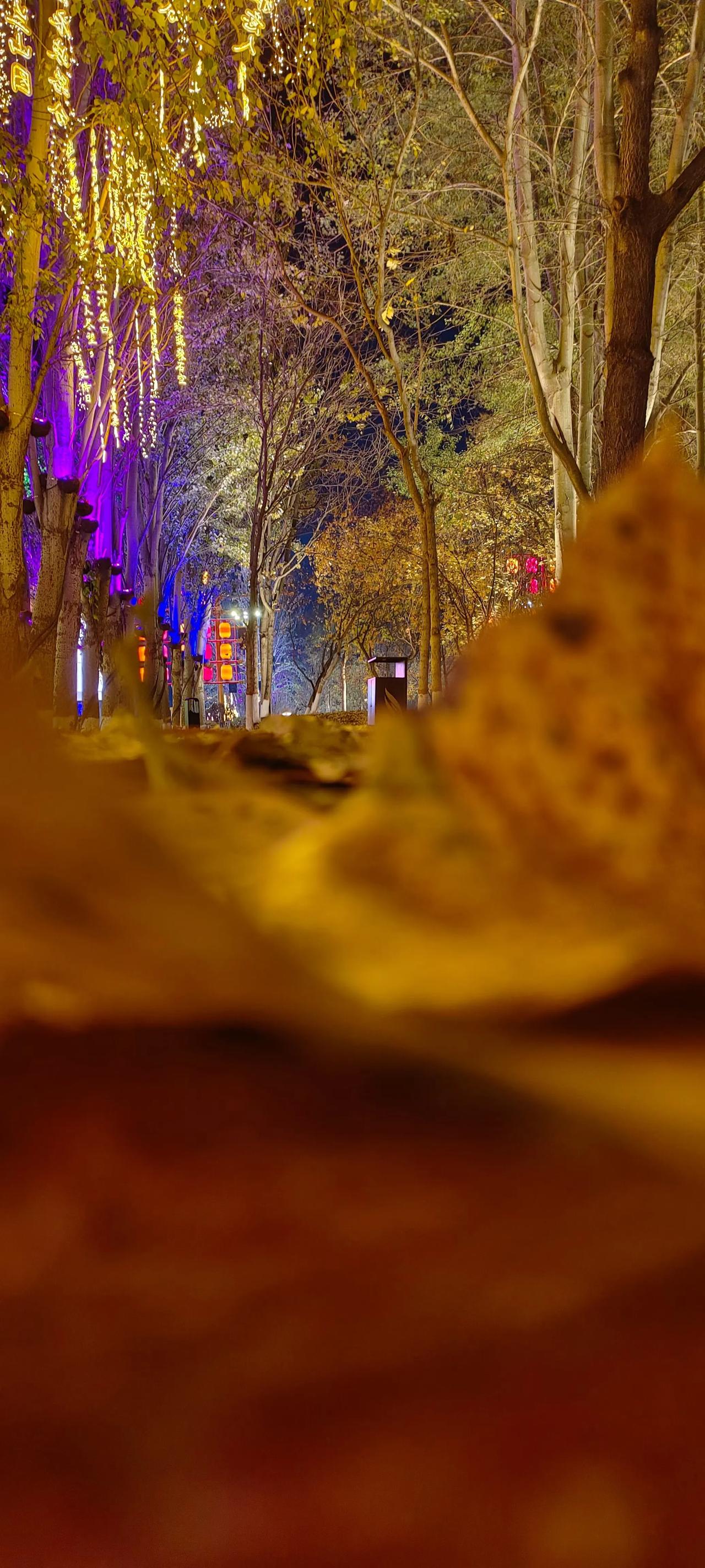 流淌的长夜

在这漫长的夜，空旷如大朵的云，悄然埋葬着狭小的伤痕，而每一次的掩埋