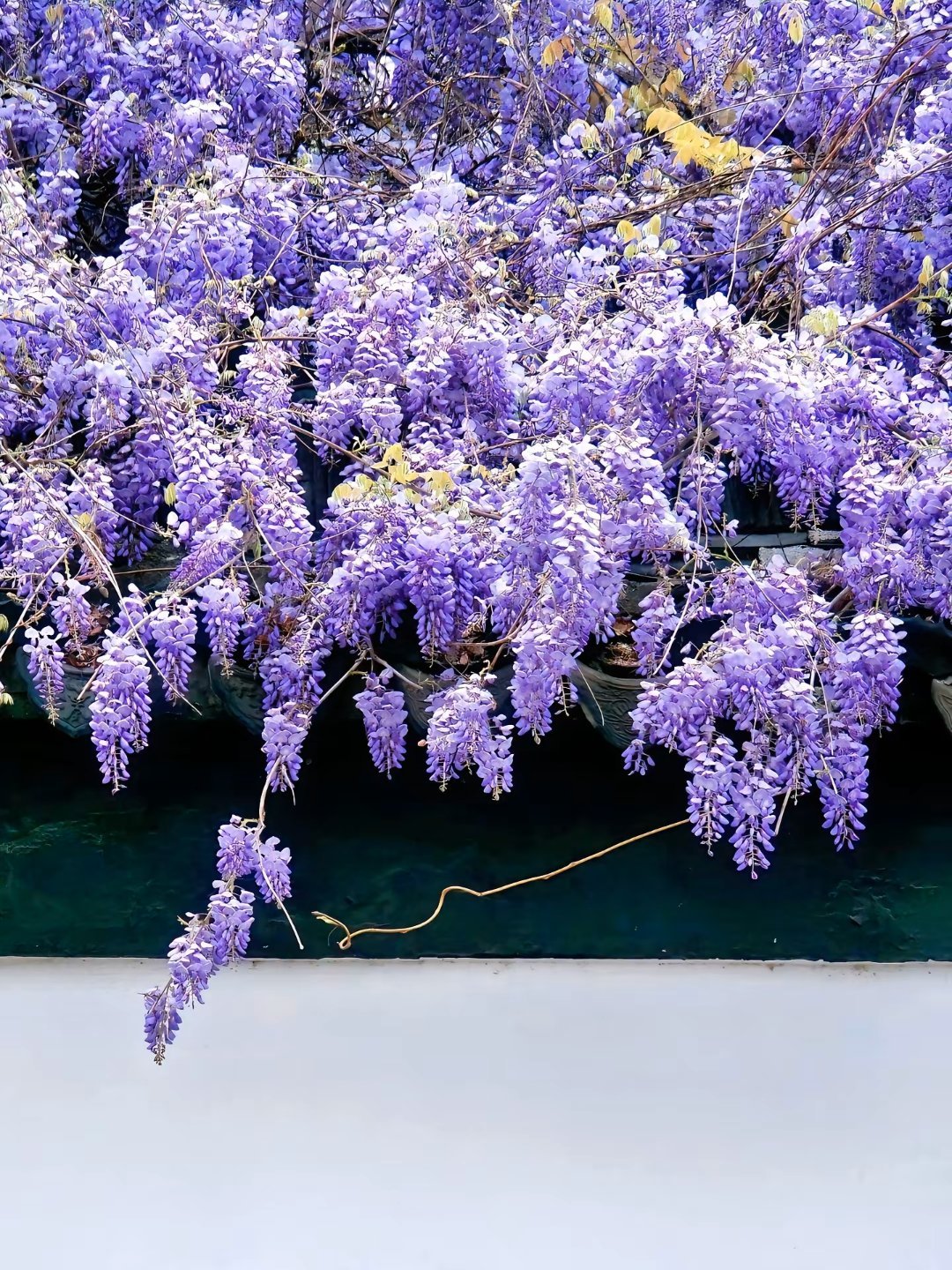 中式美学之色彩之美 ​​​