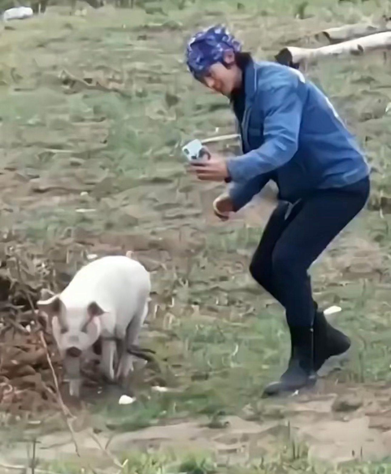 #于适追猪合影# 于适怎么可以这么搞笑呢？好喜欢他这种性格呢，追着猪合影，真的是