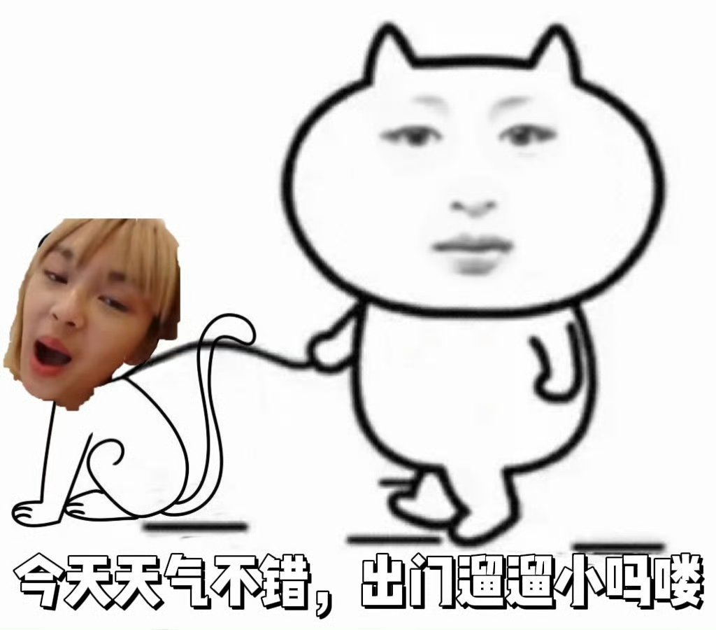 上就上了咋了 