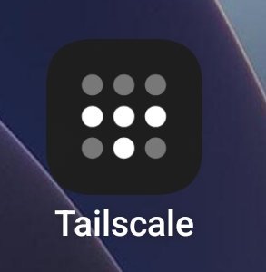 起猛了，还以为Tailscale出汽车了呢