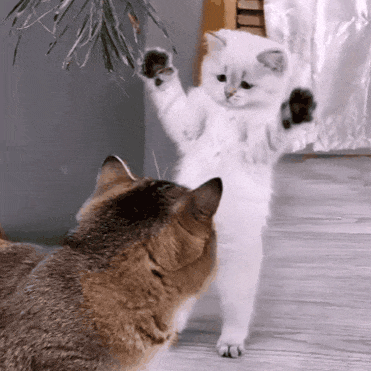 想打，但又打不过。跌跌撞撞的小白