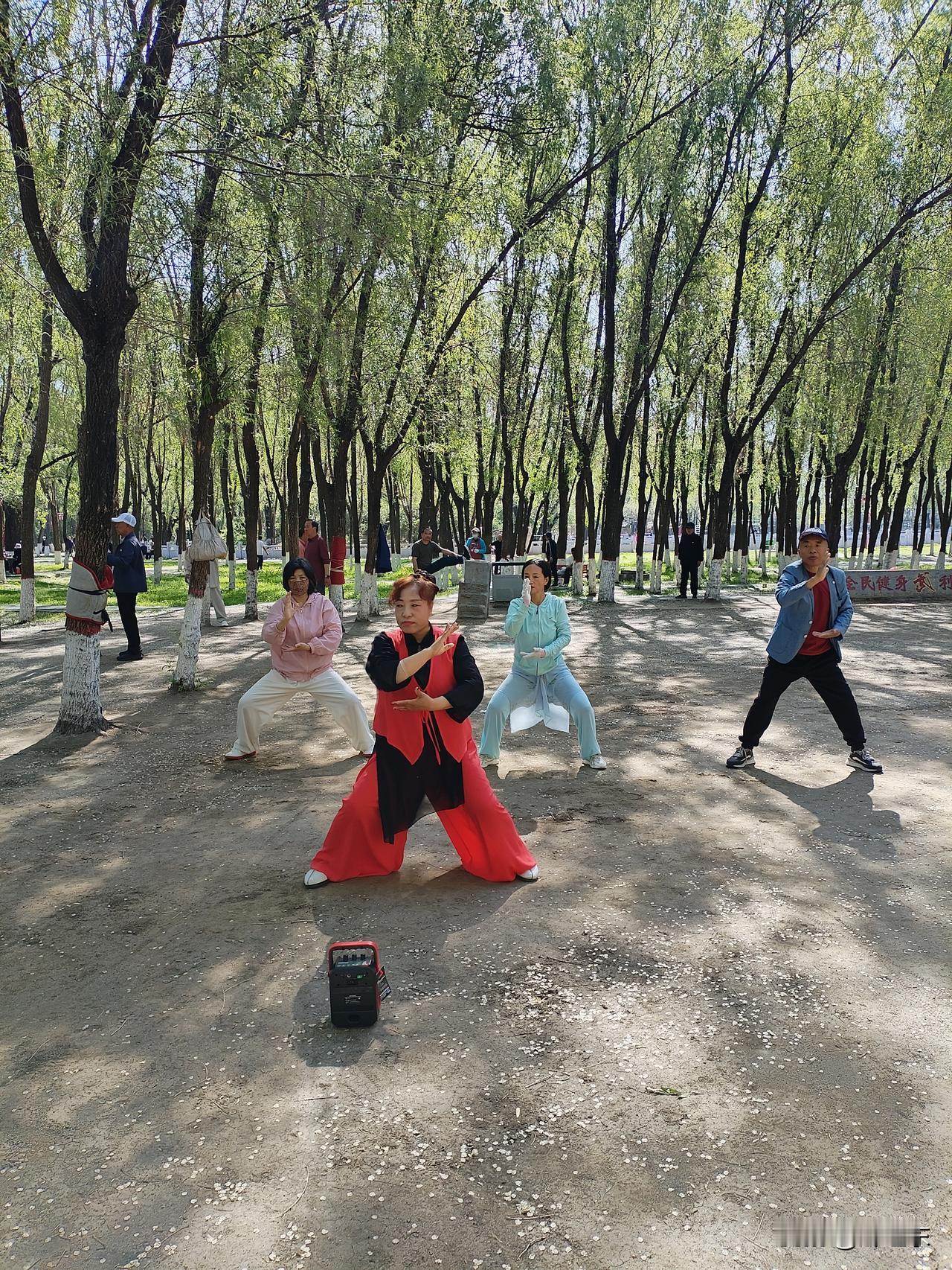 郑丽文会不会成为两岸和平的推动者？她的想法是会，她的动作是不会，她的目的是不能。