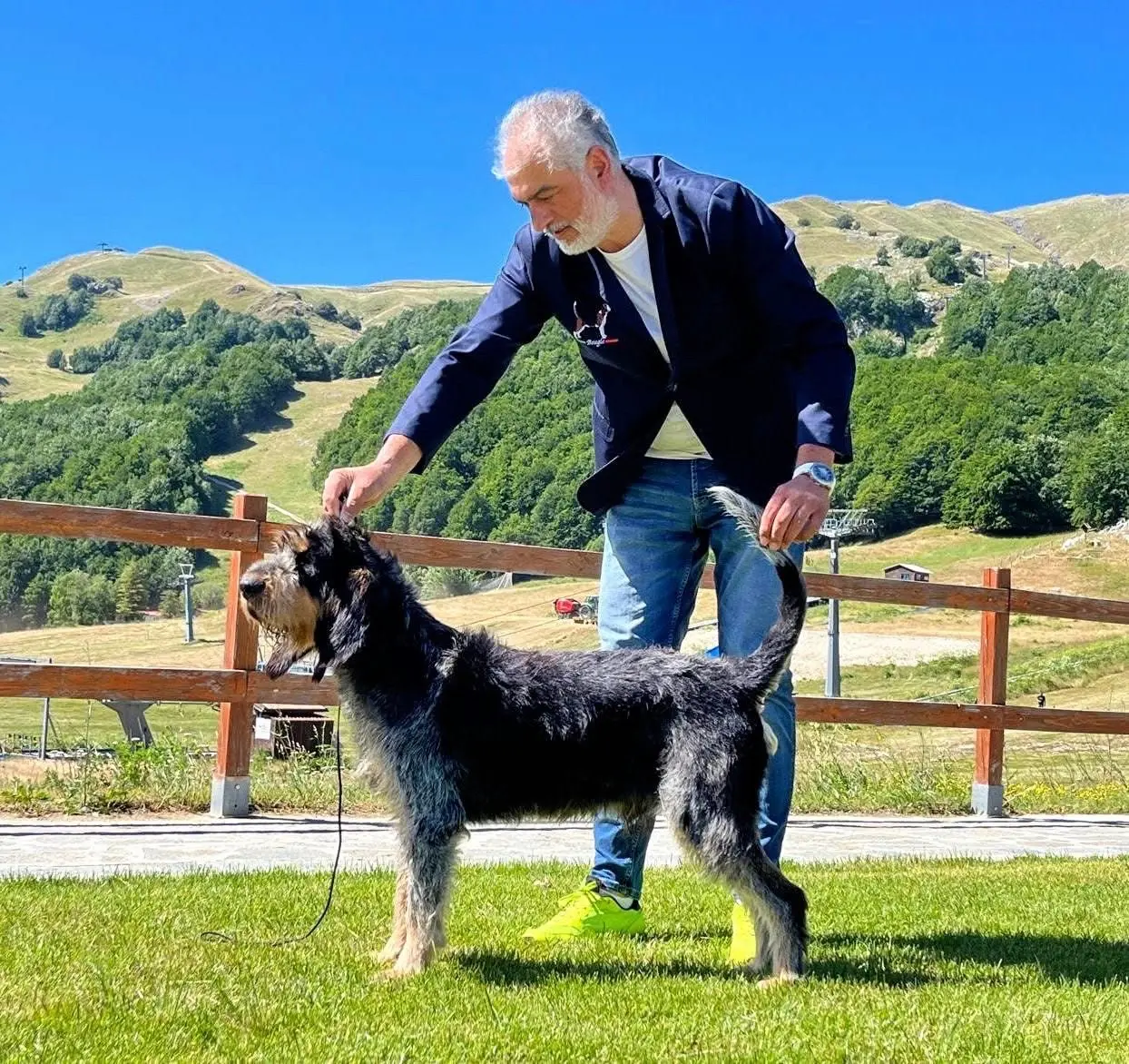 法国“加斯科捏格里芬蓝色猎犬”