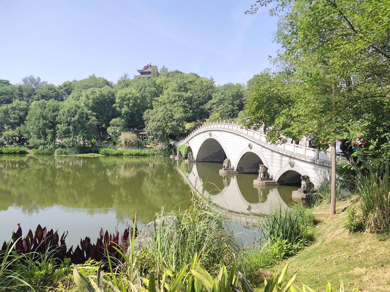 随手拍下的风景照