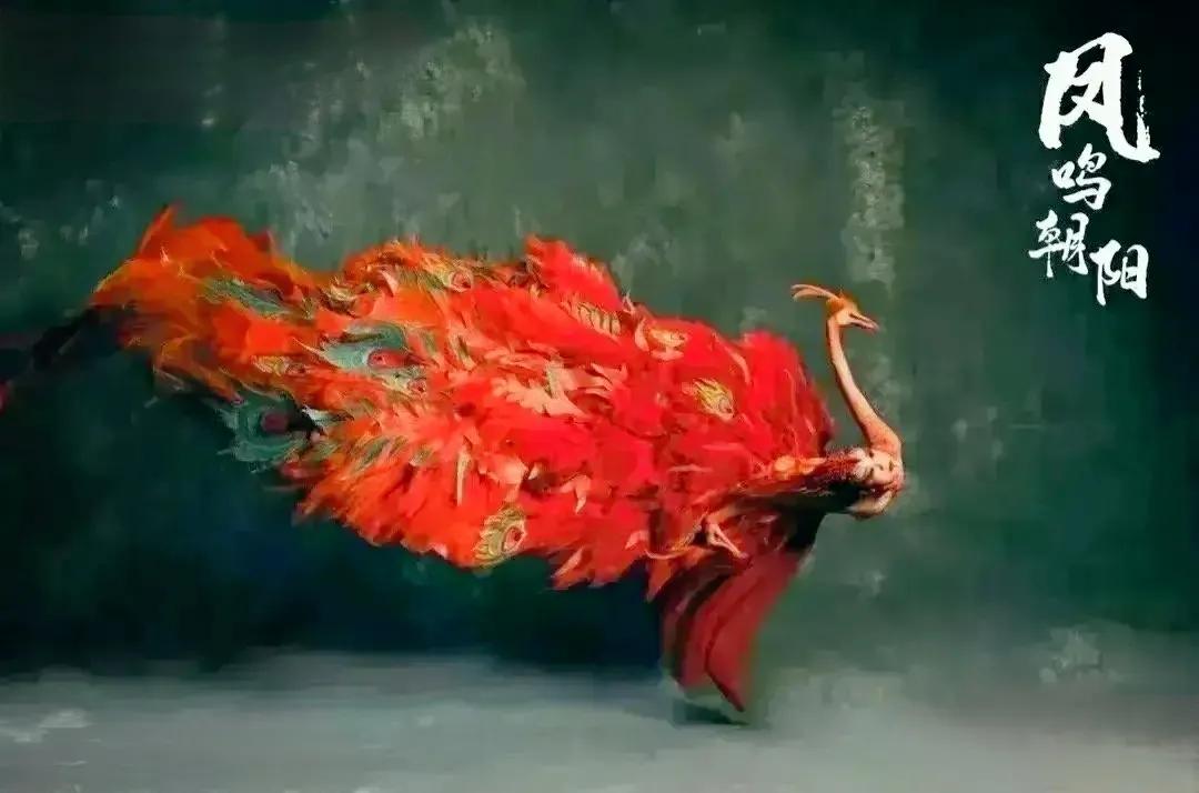 杨丽萍老师太可怕了，
这个凤凰也太惟妙惟肖了，
乍一看都很难看出来是人在跳，就像