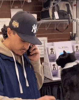 猫猫：我建议你辞职陪我玩 ​​​