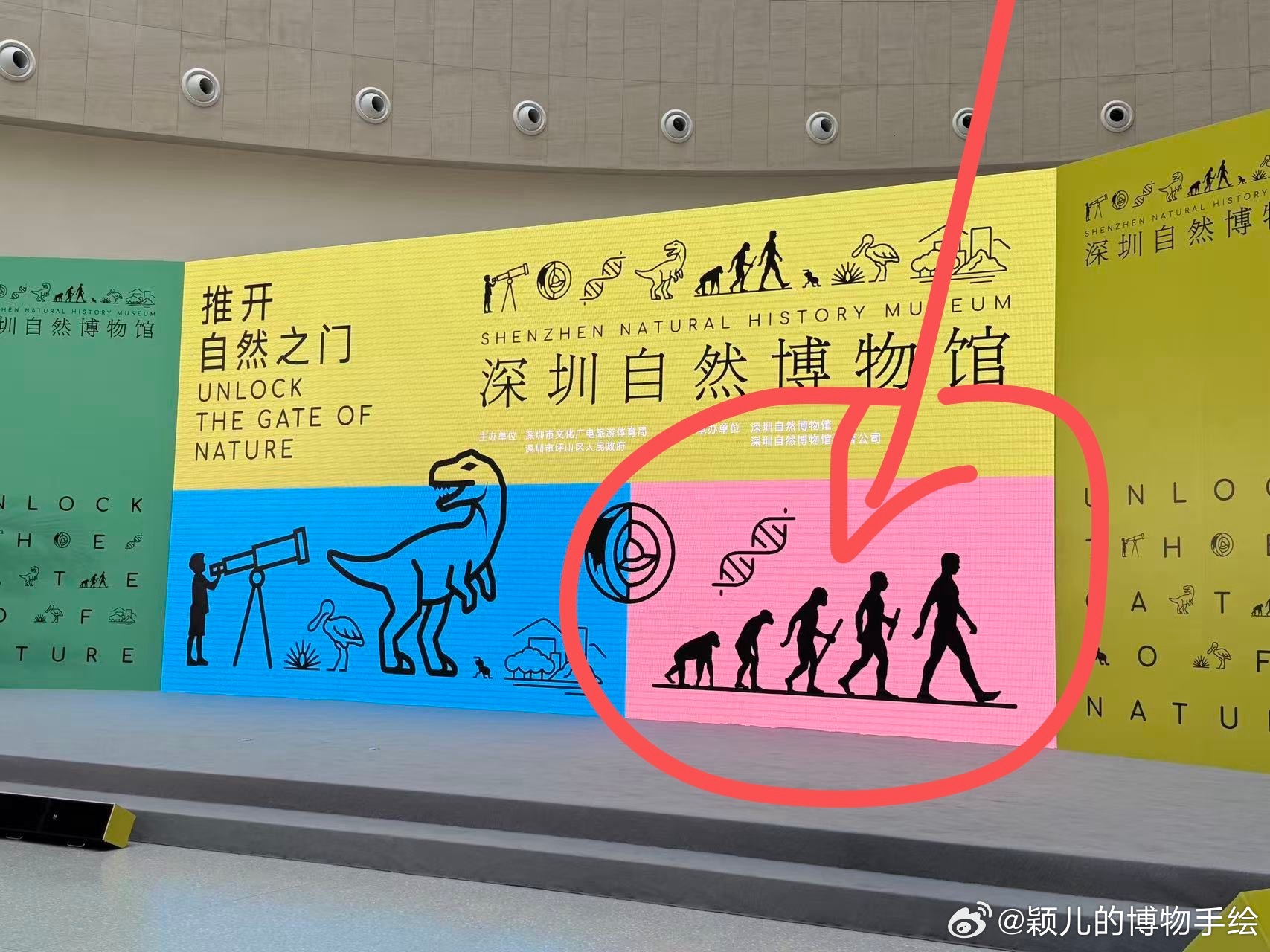 啊深圳自然博物馆主视觉图上的这个图！我记得看过好几次关于这个图案错误的文章。——