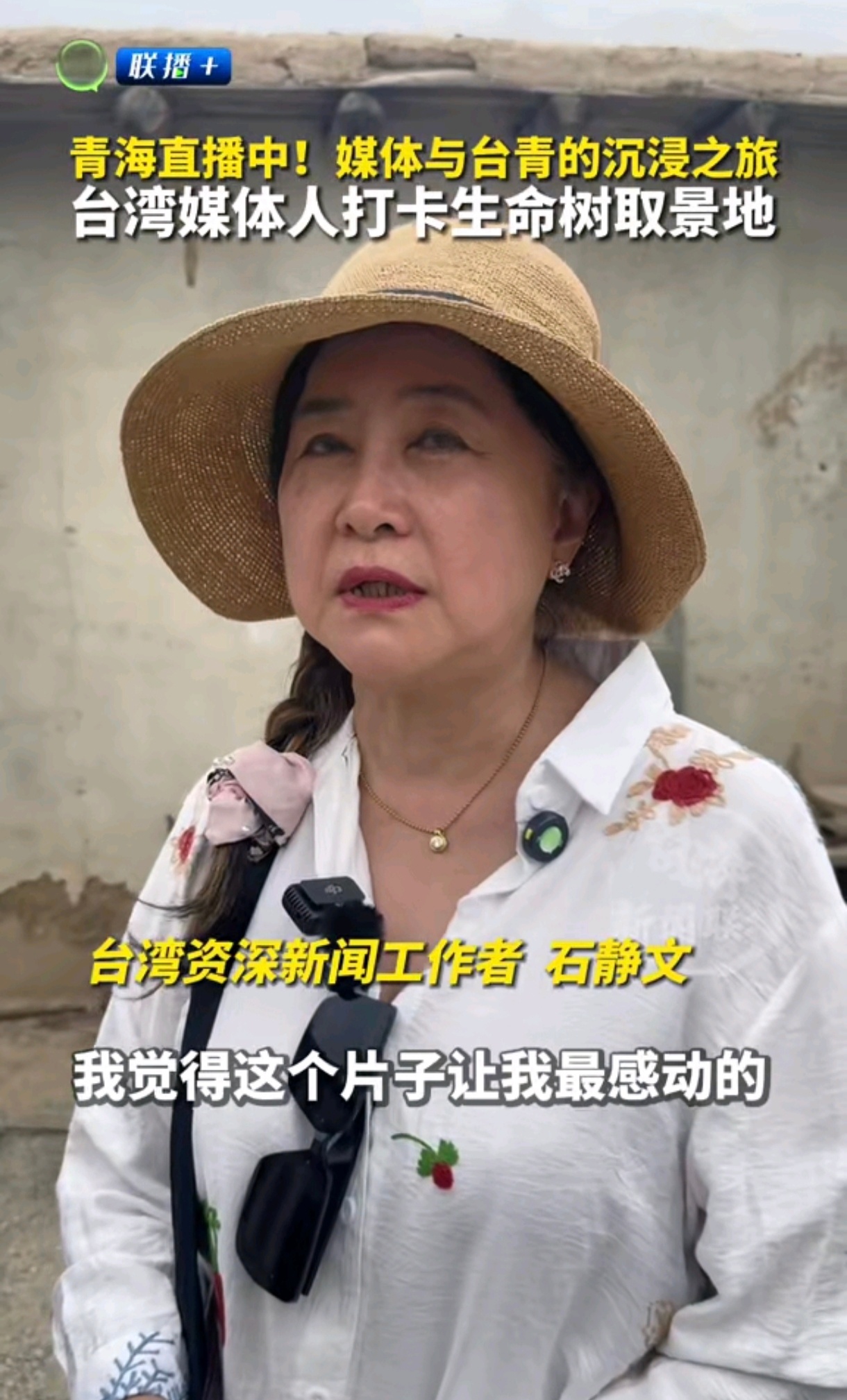 都有台湾媒体去生命树取景地打卡了