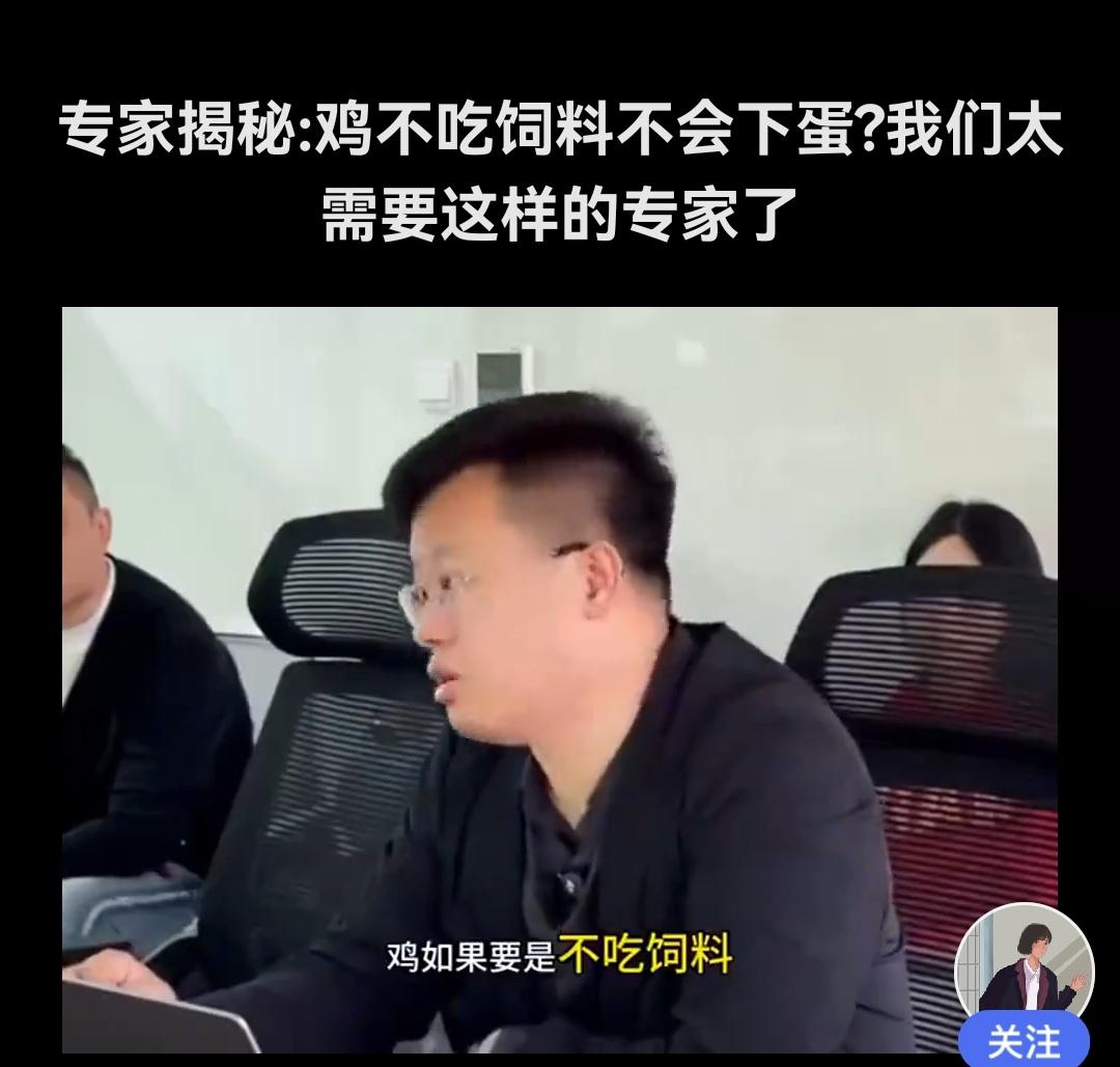 过去没有配合饲料，鸡又是如何产蛋的？

最近刷到一段采访，某专家发表观点：鸡不吃