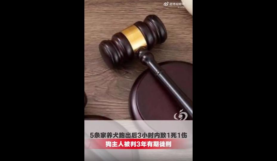 最近黑龙江尚志一起养狗致死人的案子，真的看得人心里堵得慌。
很多网友看完判决结果