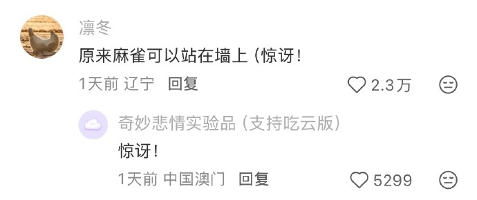 隔壁家在拿小米喂小麻雀 