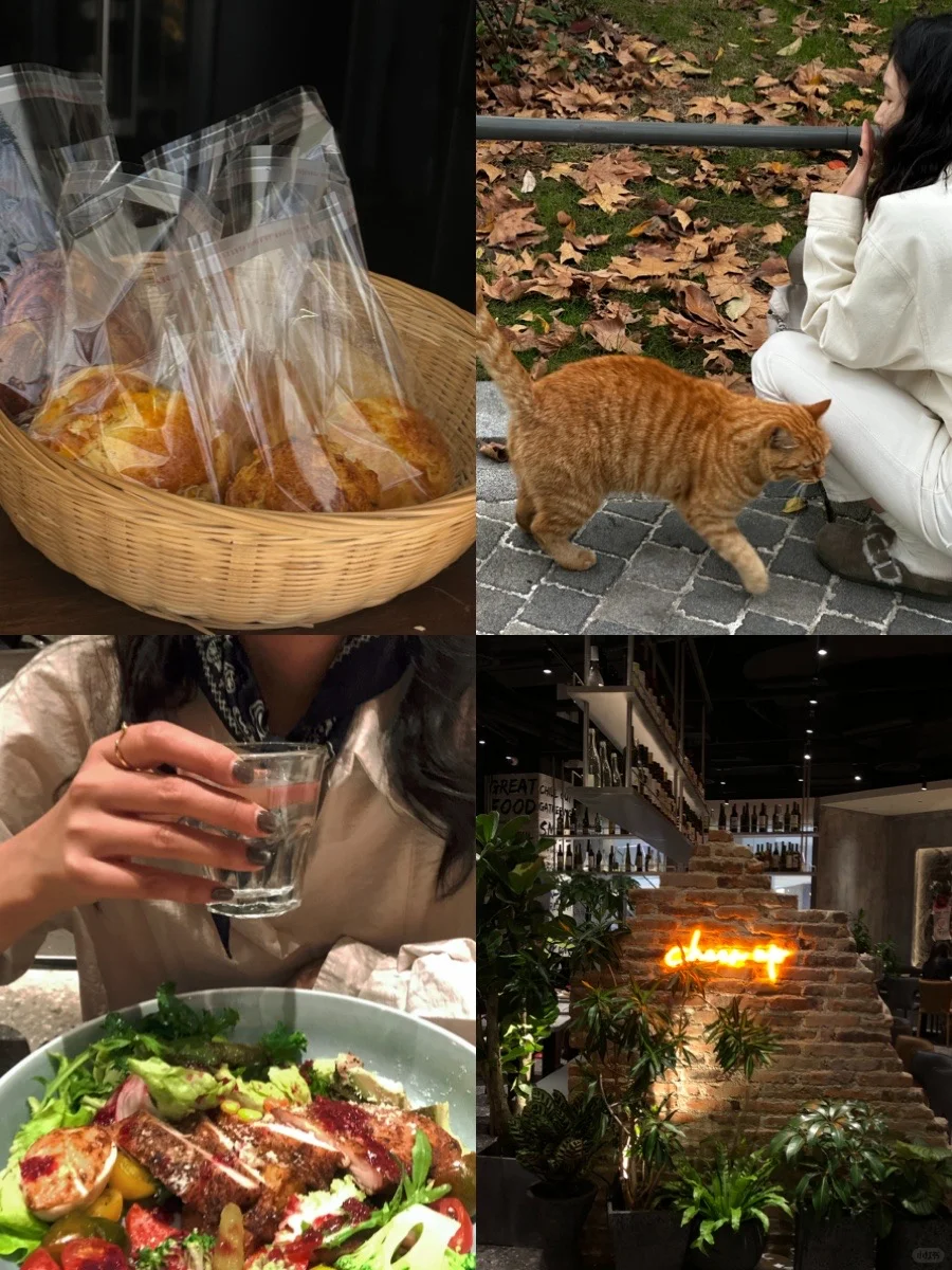 秋风沉醉的美味集合体