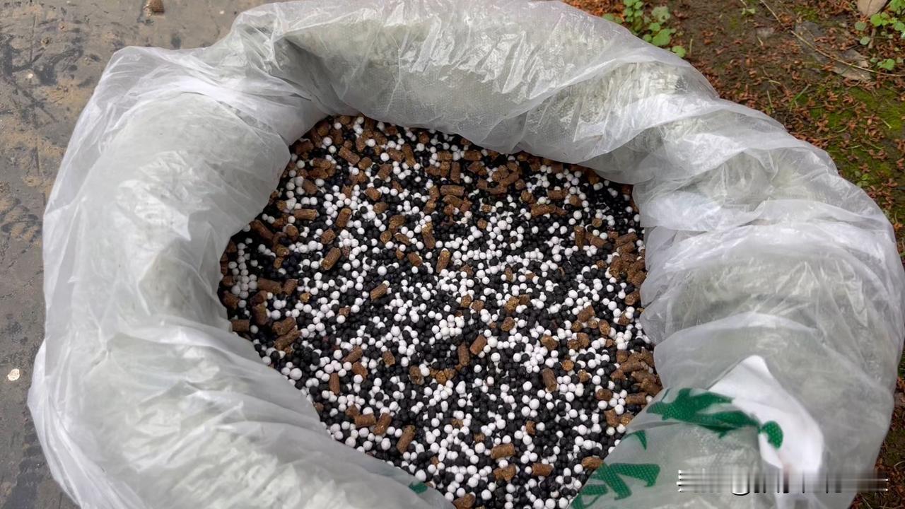 请问桂花树施什么肥羊粪，豆饼肥，复合肥都可以，注意用量不要太多，讲究的是薄肥勤施