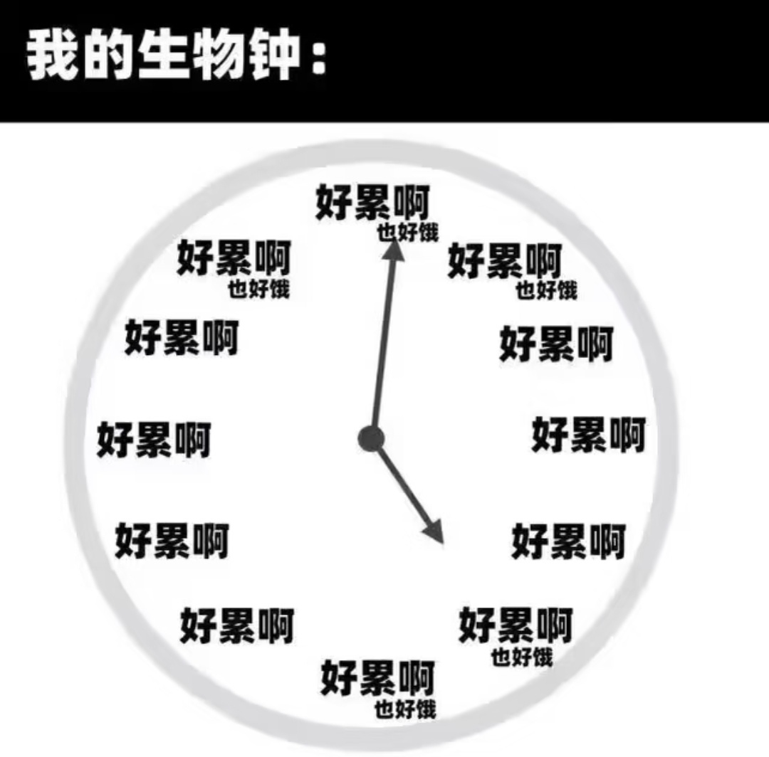 我的生物钟。 