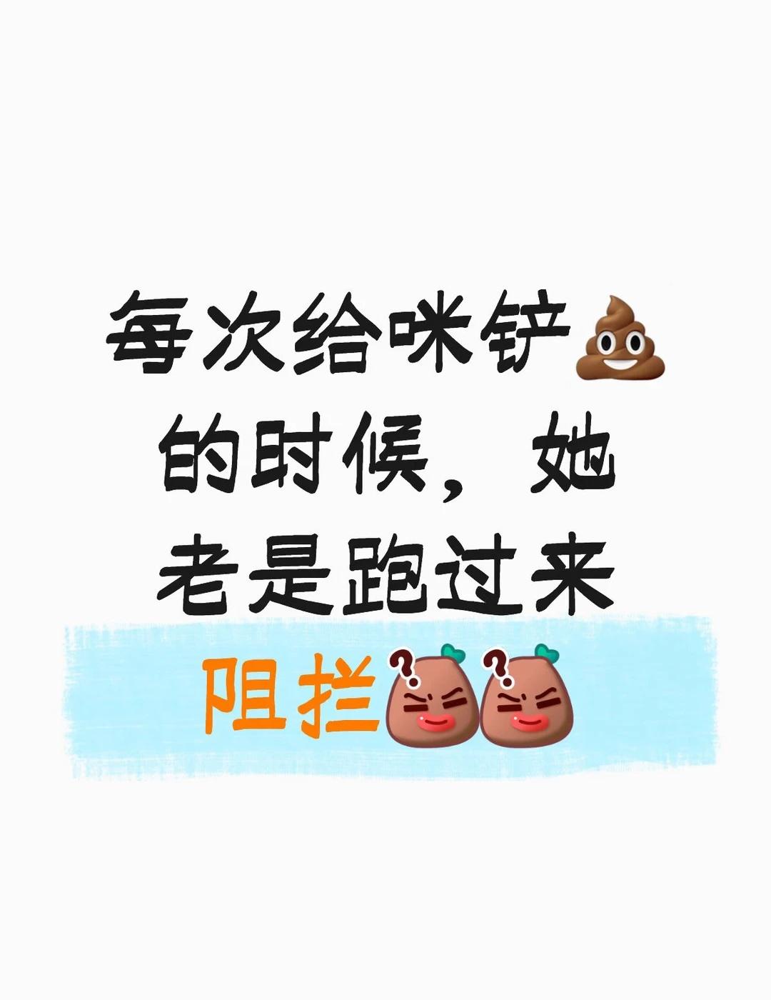 这是怎么回事？
她的粑粑很金贵吗她认为[what][what][what]猫咪日